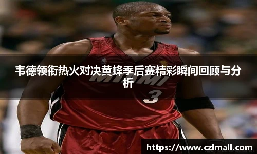 韦德领衔热火对决黄蜂季后赛精彩瞬间回顾与分析